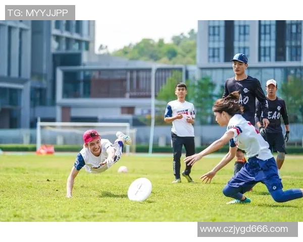 运动飞盘装备选购指南及防护垫推荐助你安全畅享体育乐趣