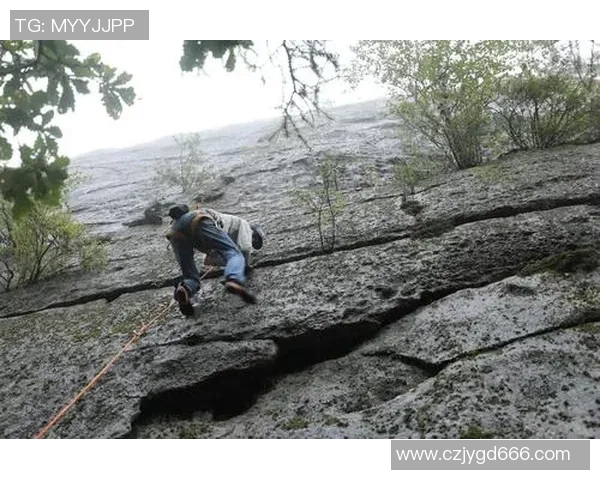 运动数据攀岩女神张芳专访揭秘成功秘诀与挑战背后的故事